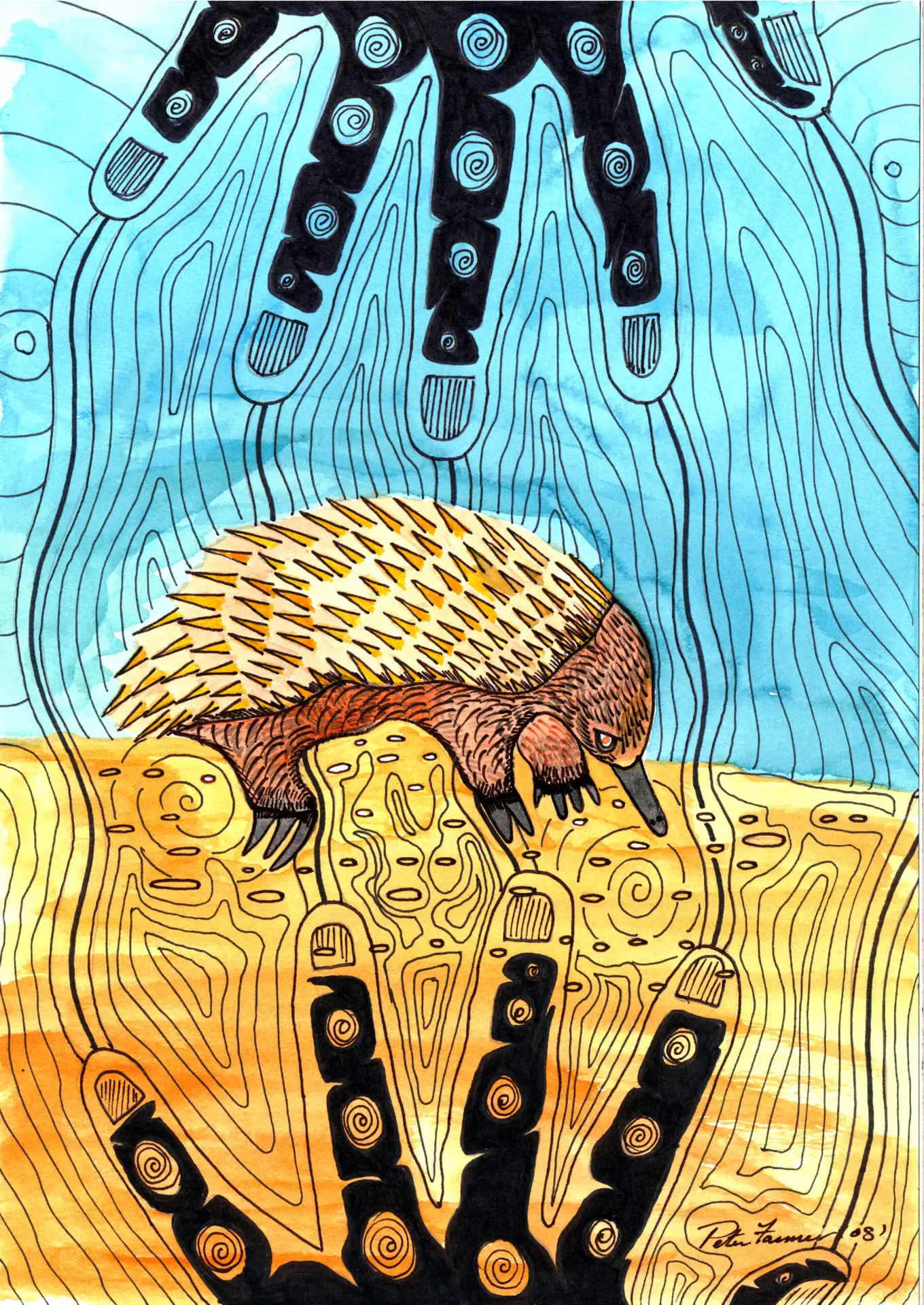 Echidna_YuedBoodja_PeterSnr