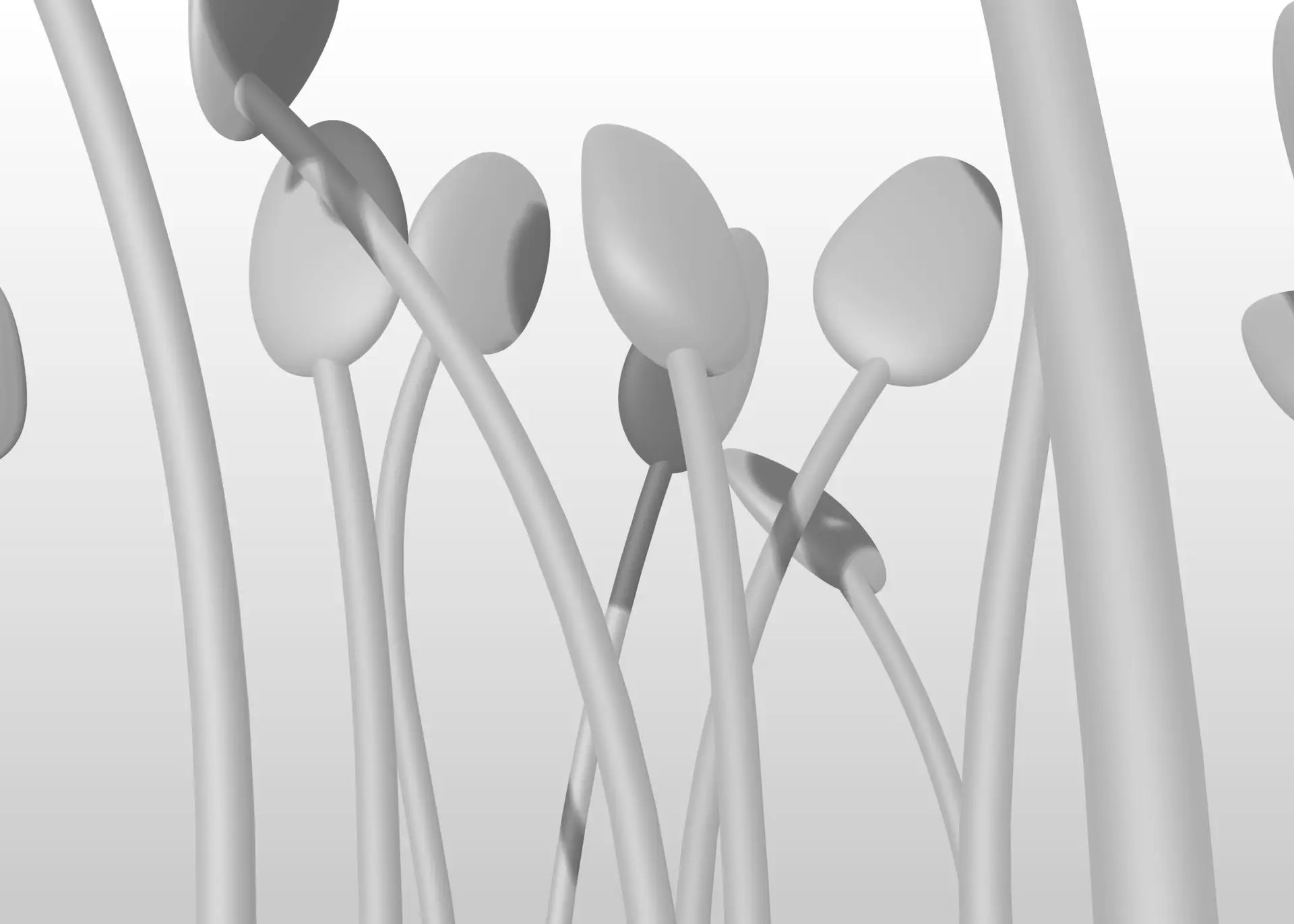 GROUP CROP2